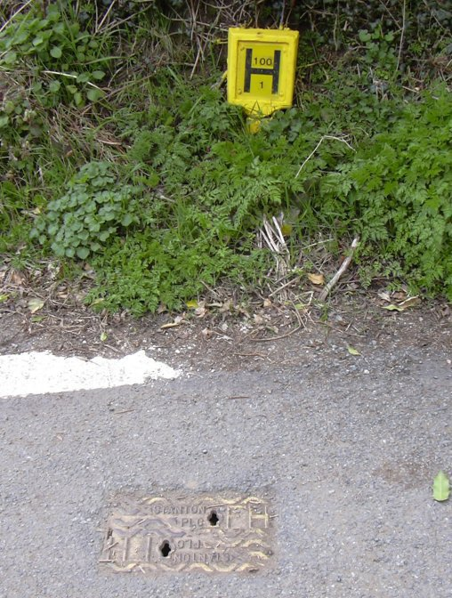 Photo of hatch in path and yelow sign in nearby foliage